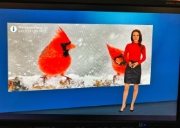 TV-Moderatorin Susanne Schöne moderiert fuer den Nachrichtensender N24 & den Entertainmentsender Pro7 das Wetter in Berlin und München